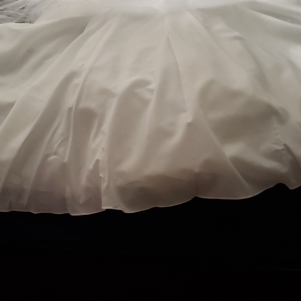 Pageant Dress - Picture 5 of 5